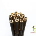 Popote de Bambú