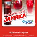 Concentrado de frutas para agua frescas