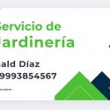 Tarjeta de presentación 100 piezas