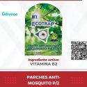 Parches vitamina b1